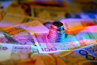 南昌房地产信息网官网 上海合租网
